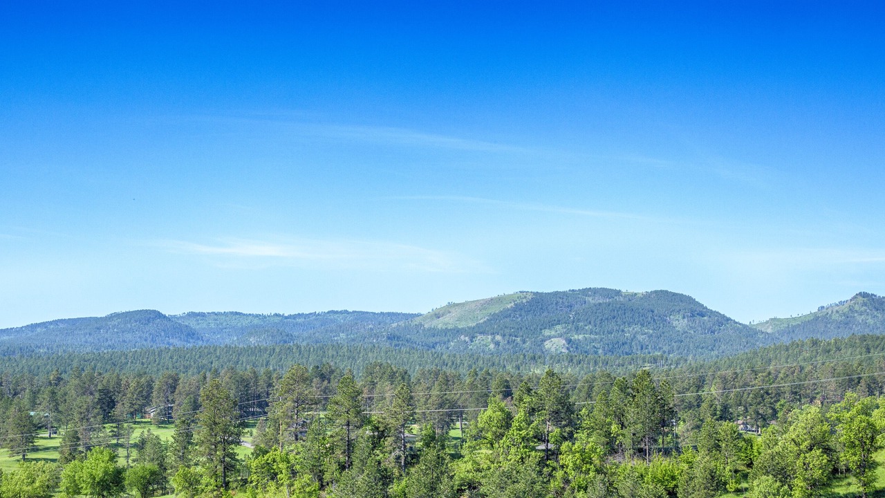 Photo of Outdoor in Sturgis