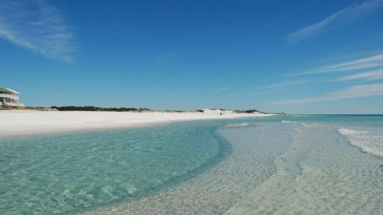 Photo of Others in Gulf Trace