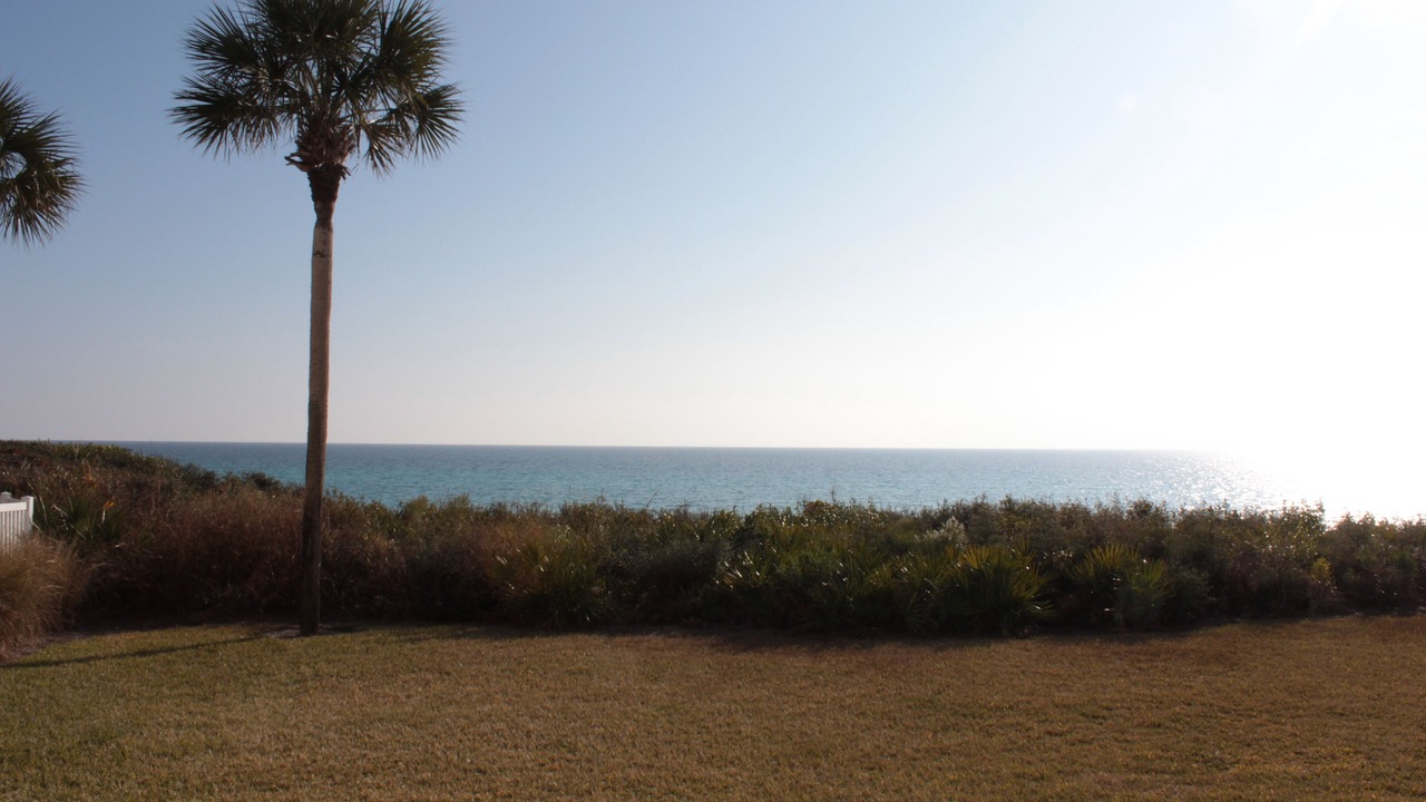 Photo of Outdoor in Seagrove Beach