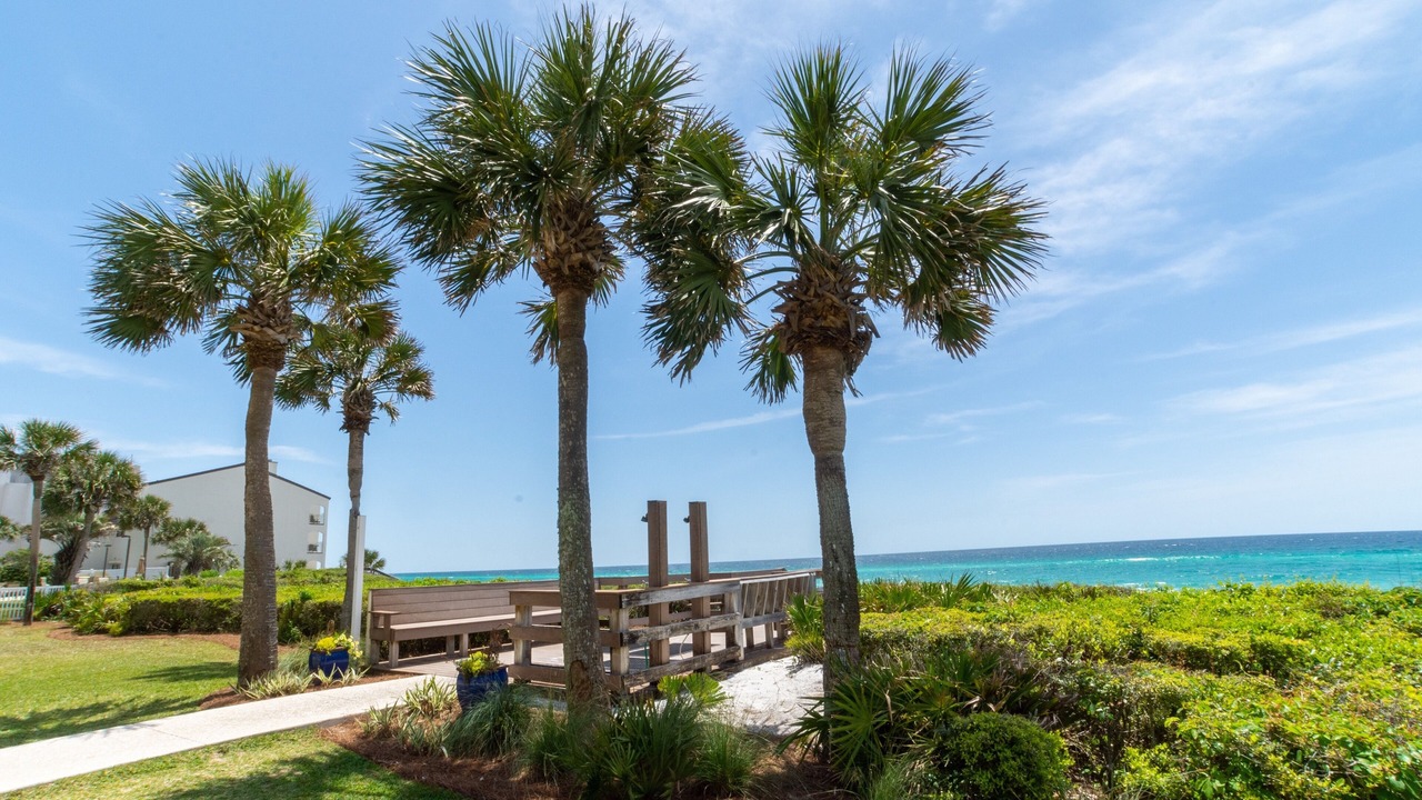 Photo of Others in Seagrove Beach