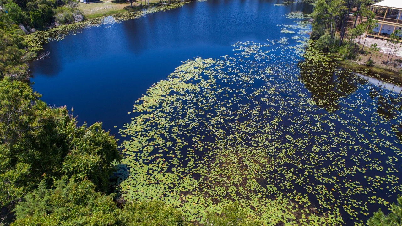 Photo of Outdoor in Seagrove Beach