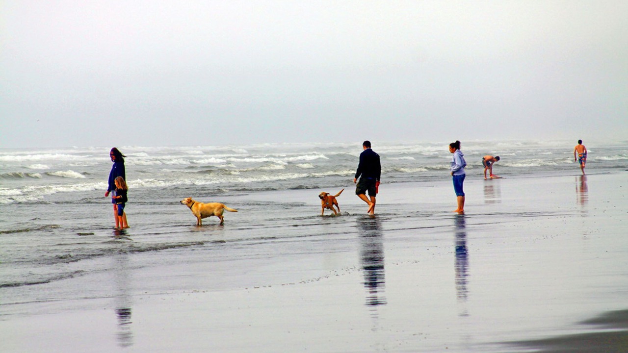 Photo of Others in Ocean City