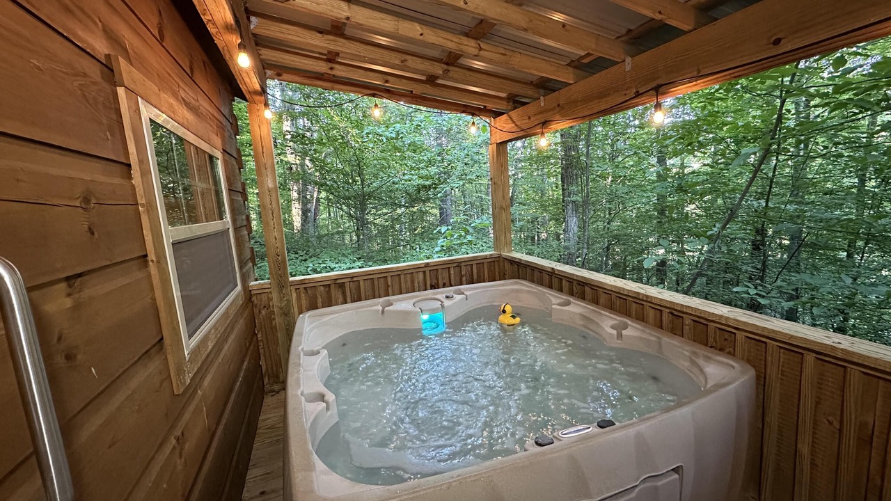 Photo of Outdoor in Candler