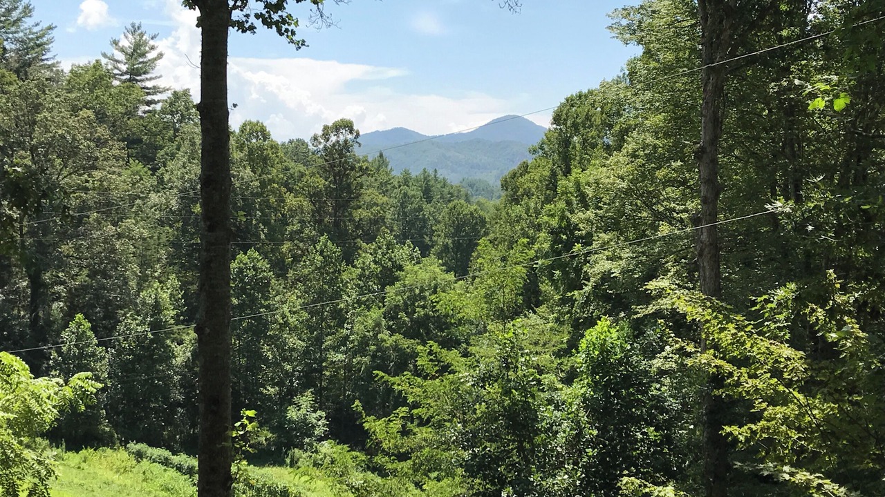 Photo of Others in Bryson City