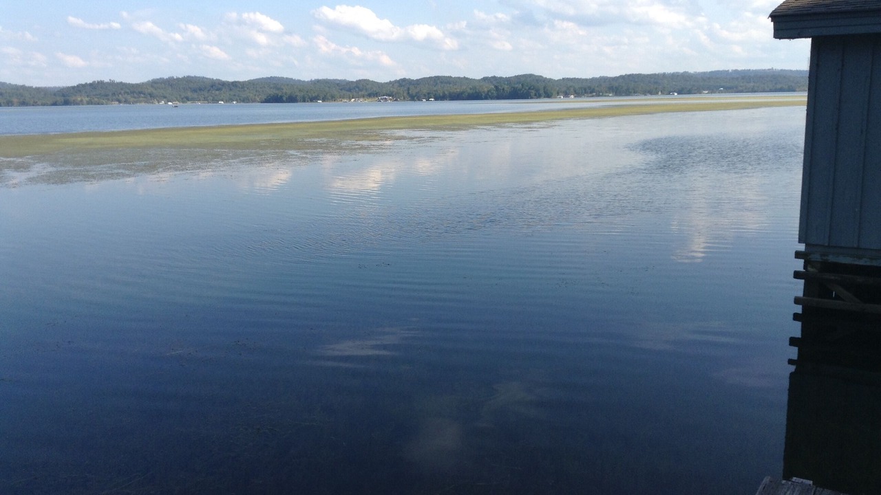 Photo of Others in Guntersville