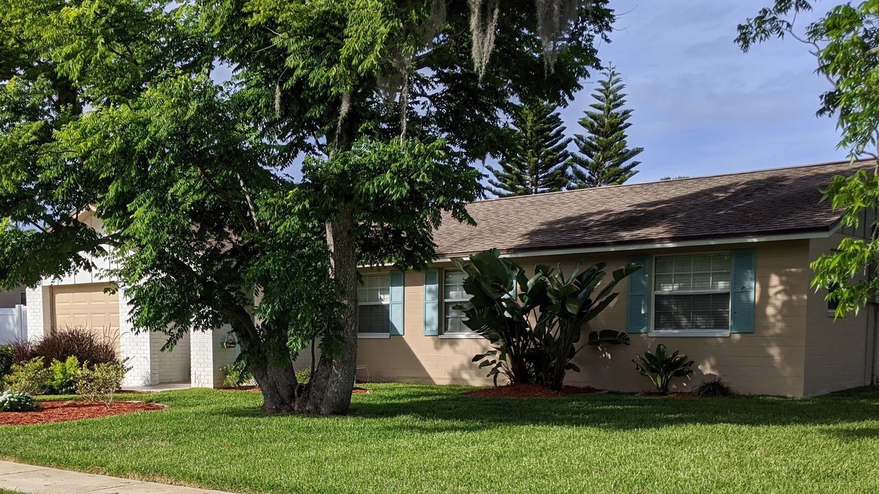 Photo of Others in South Daytona