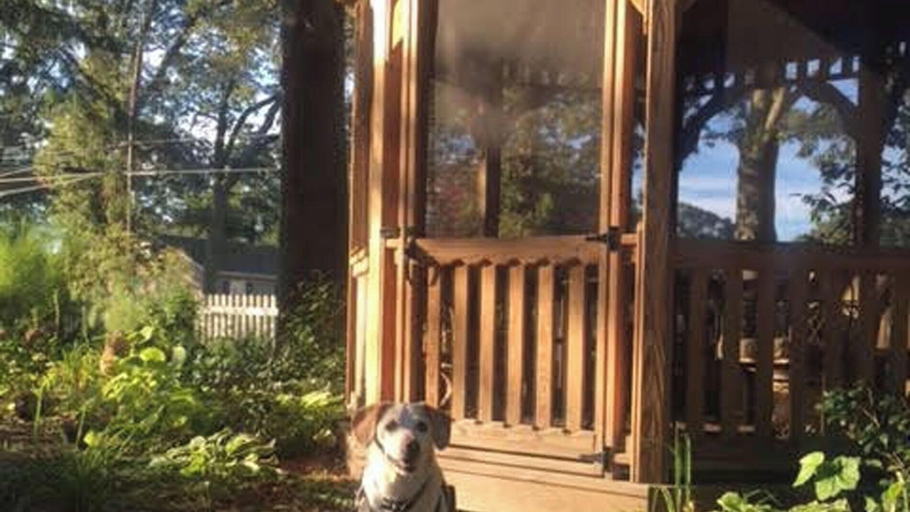 Photo of Outdoor in Villas