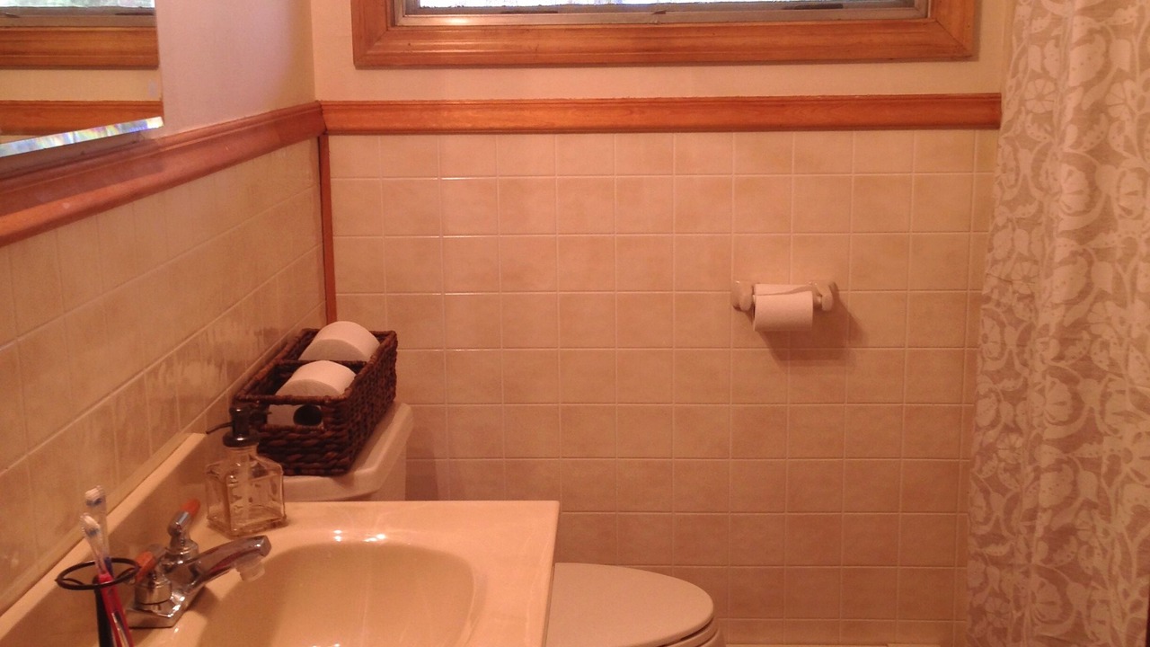 Photo of Bathroom in Lakeville