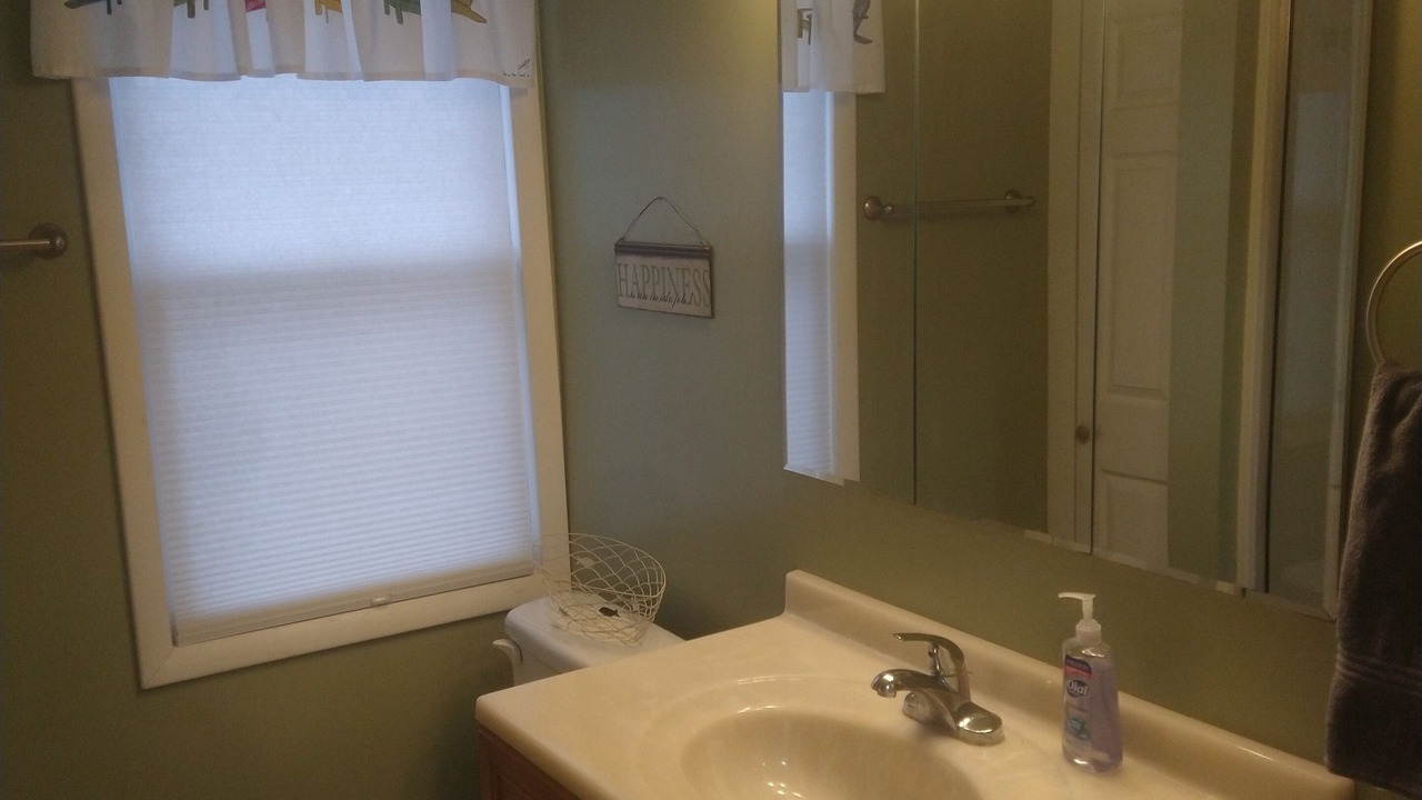 Photo of Bathroom in Honeoye
