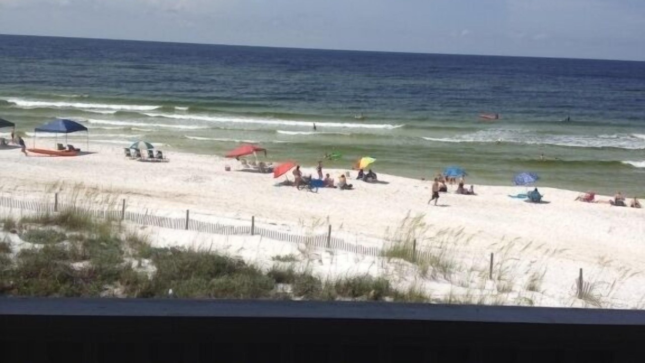 Photo of Others in Seagrove Beach