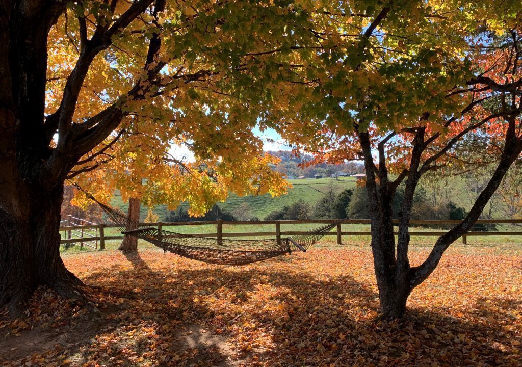 Photo of Outdoor in Lexington