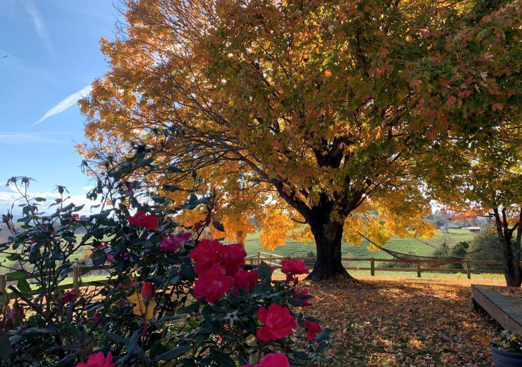 Photo of Outdoor in Lexington