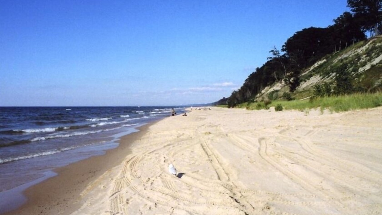 Photo of Others in Lake Michigan Beach