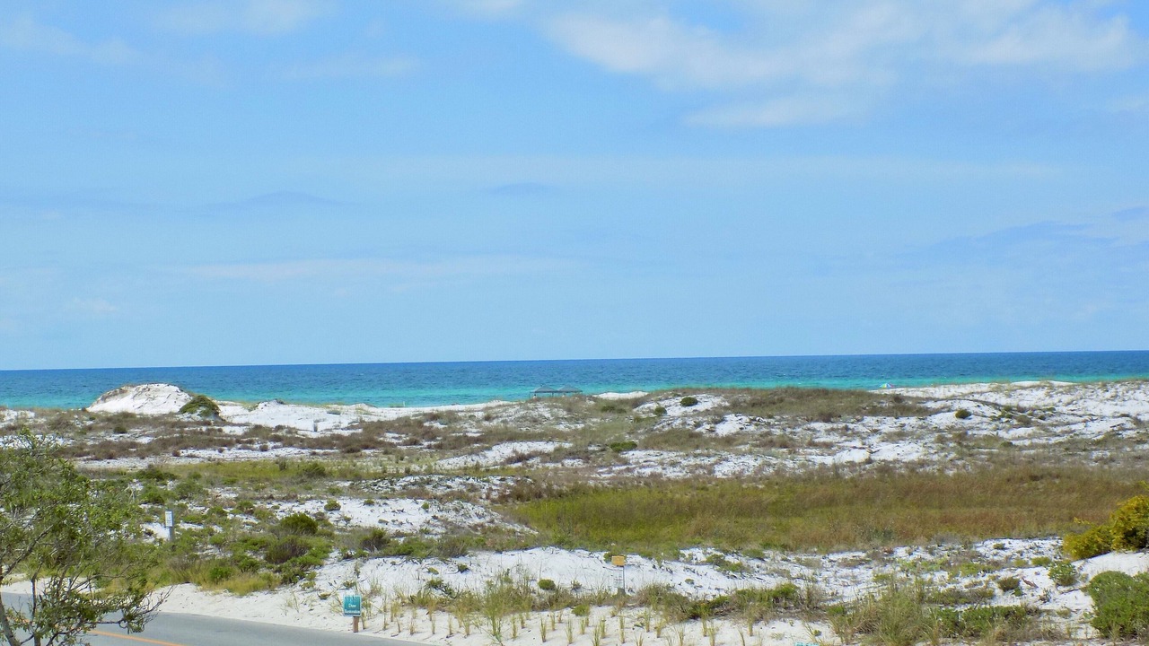Photo of Others in Grayton Beach