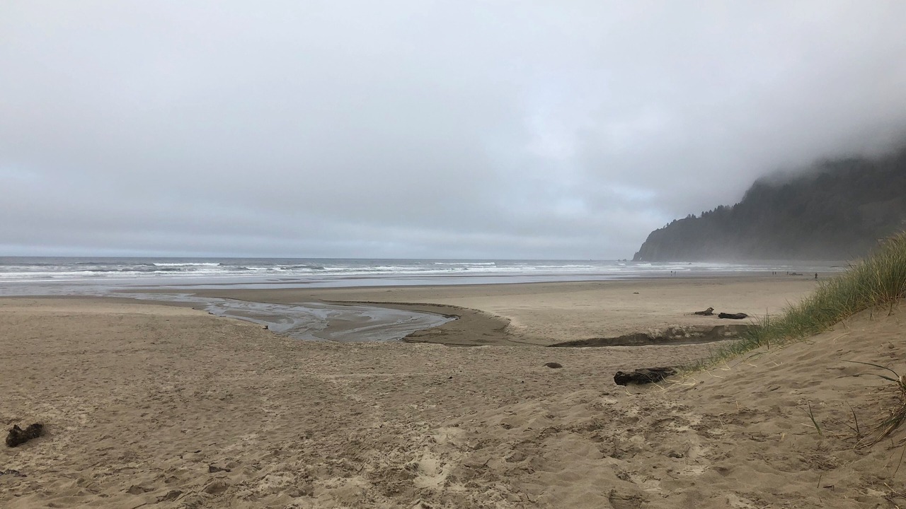 Photo of Others in Nehalem