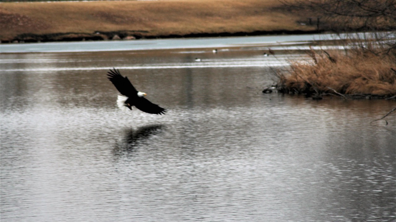 Photo of Outdoor in Rapid City