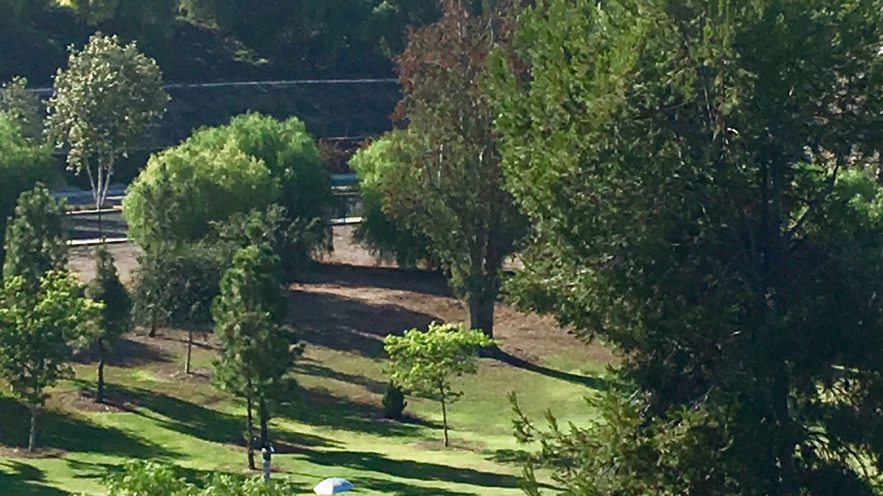 Photo of Others in Laguna Hills