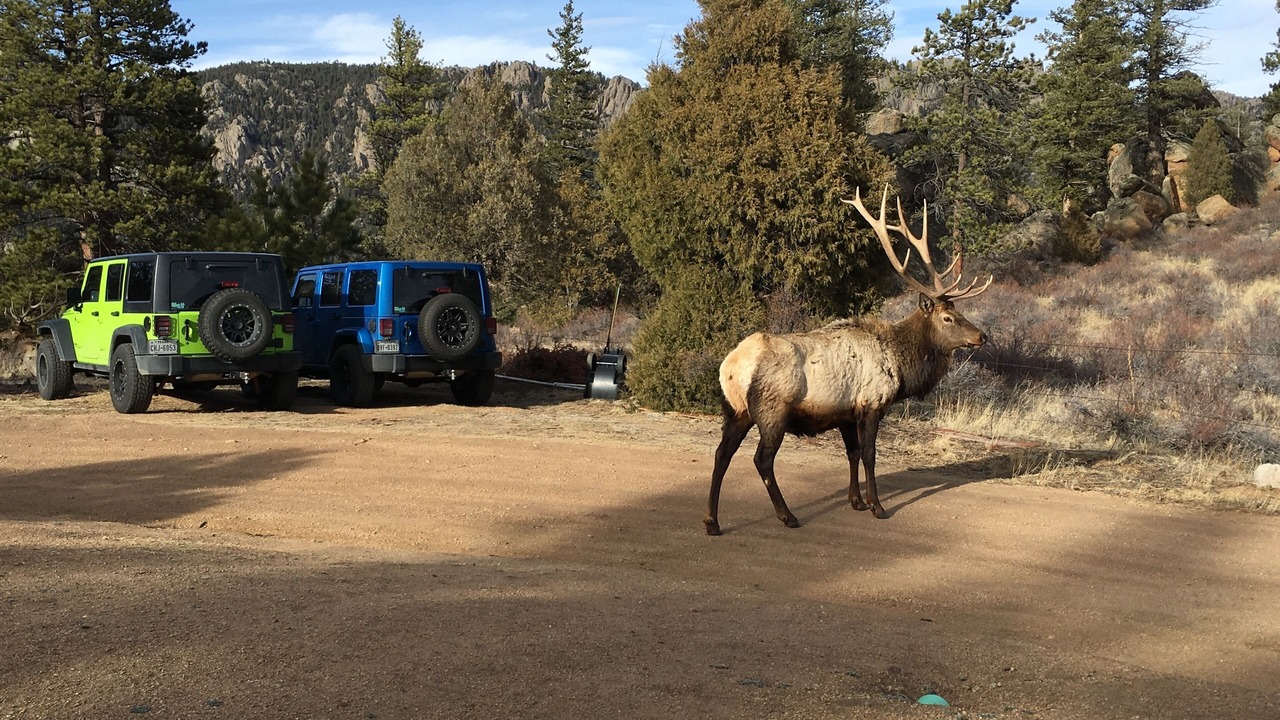 Photo of Outdoor in Estes Park