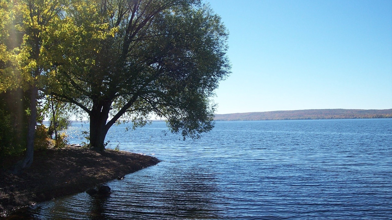 Photo of Others in Bergland