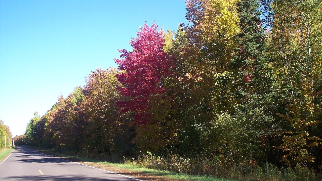 Photo of Outdoor in Bergland