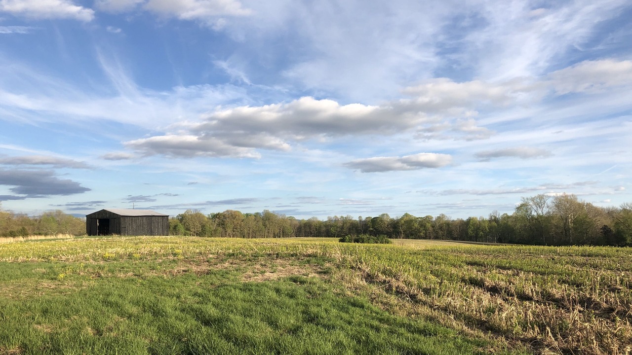Photo of Outdoor in West Union