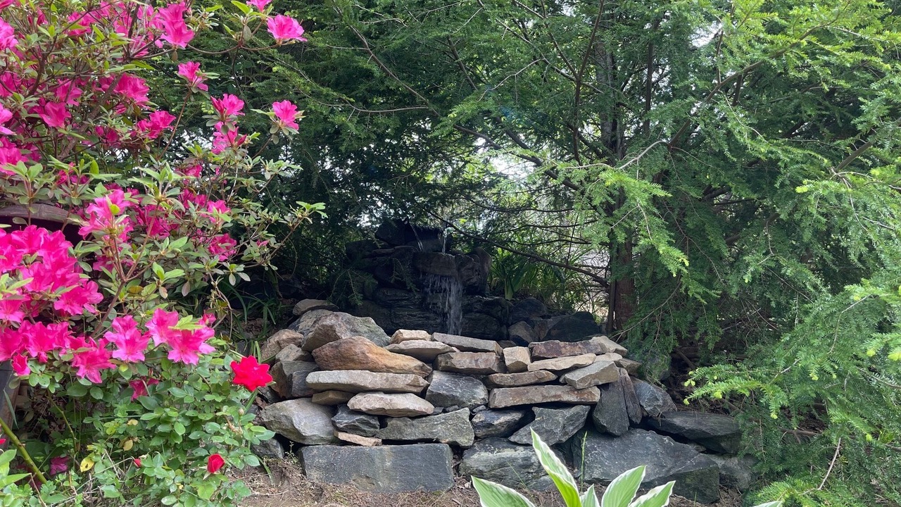 Photo of Outdoor in West Jefferson