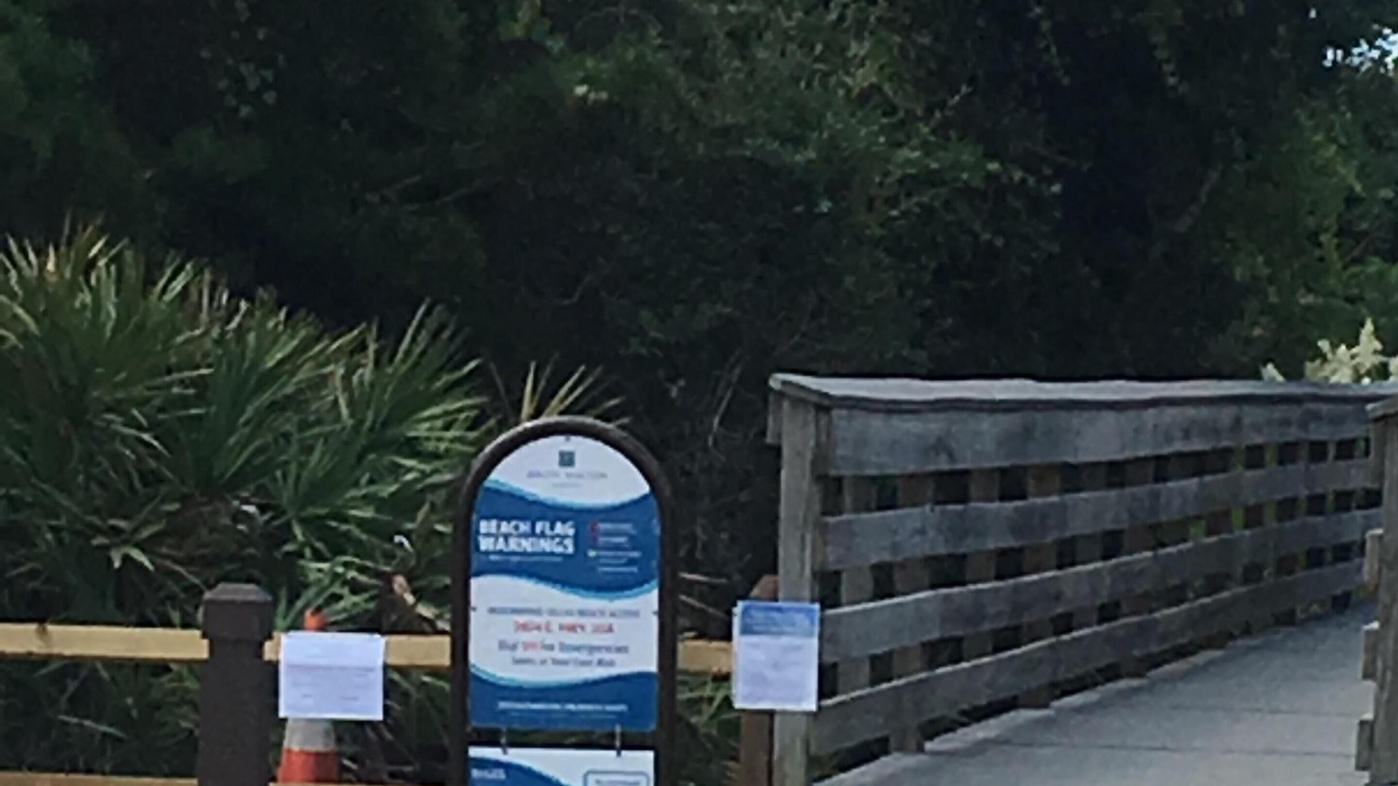 Photo of Others in Seagrove Beach