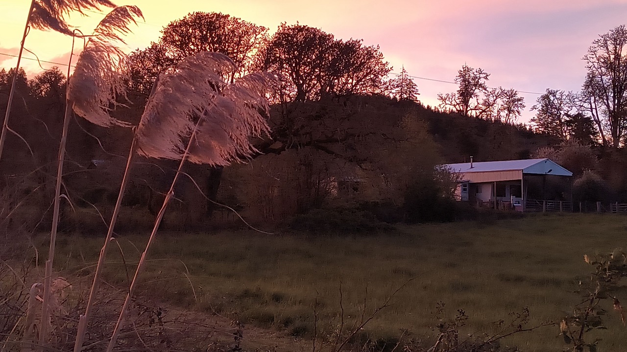Photo of Outdoor in Willamina