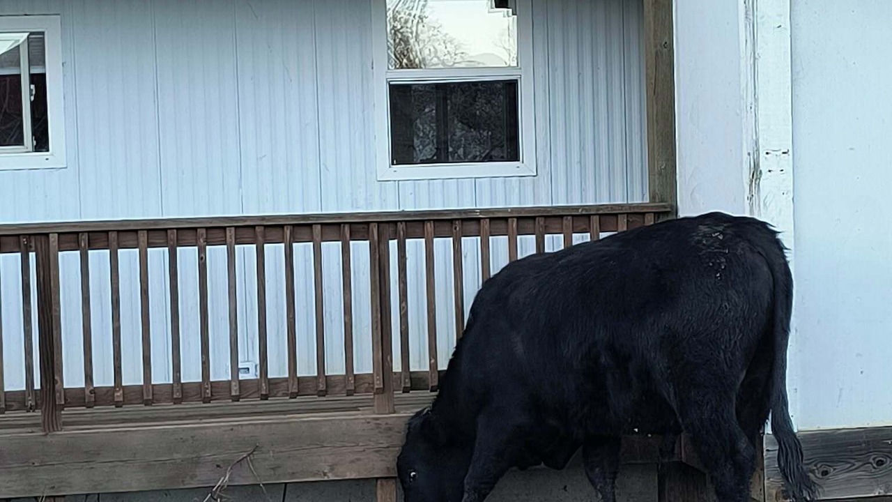 Photo of Outdoor in Willamina