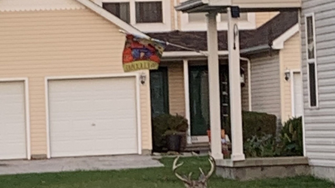 Photo of Outdoor in Bedford