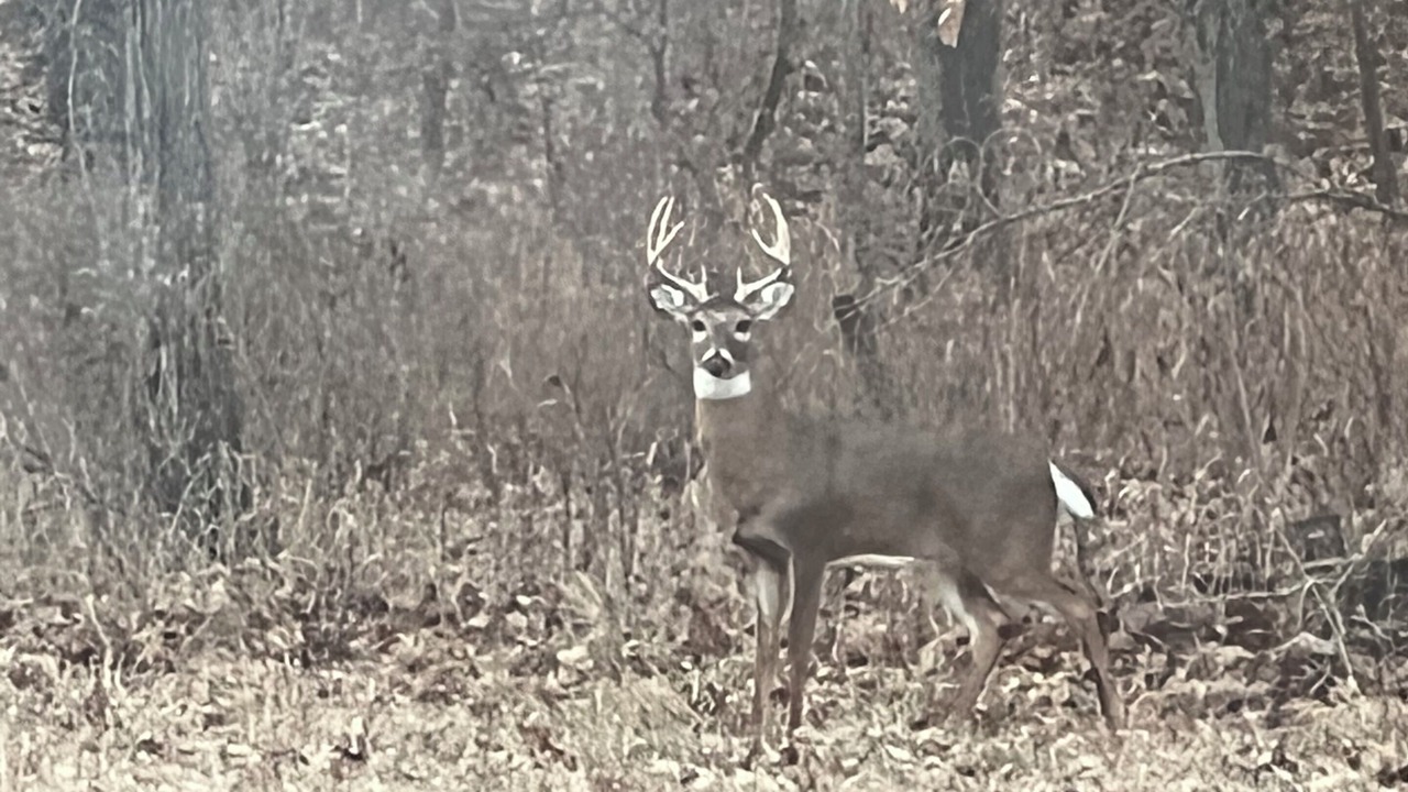 Photo of Others in Fort Scott