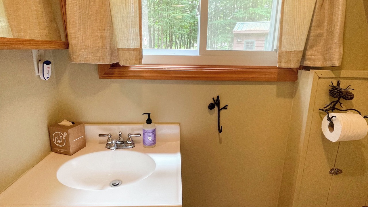 Photo of Bathroom in Lake Pleasant