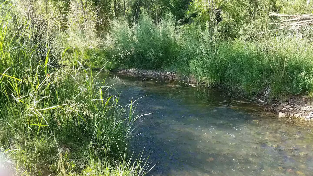 Photo of Others in Cottonwood-Verde Village