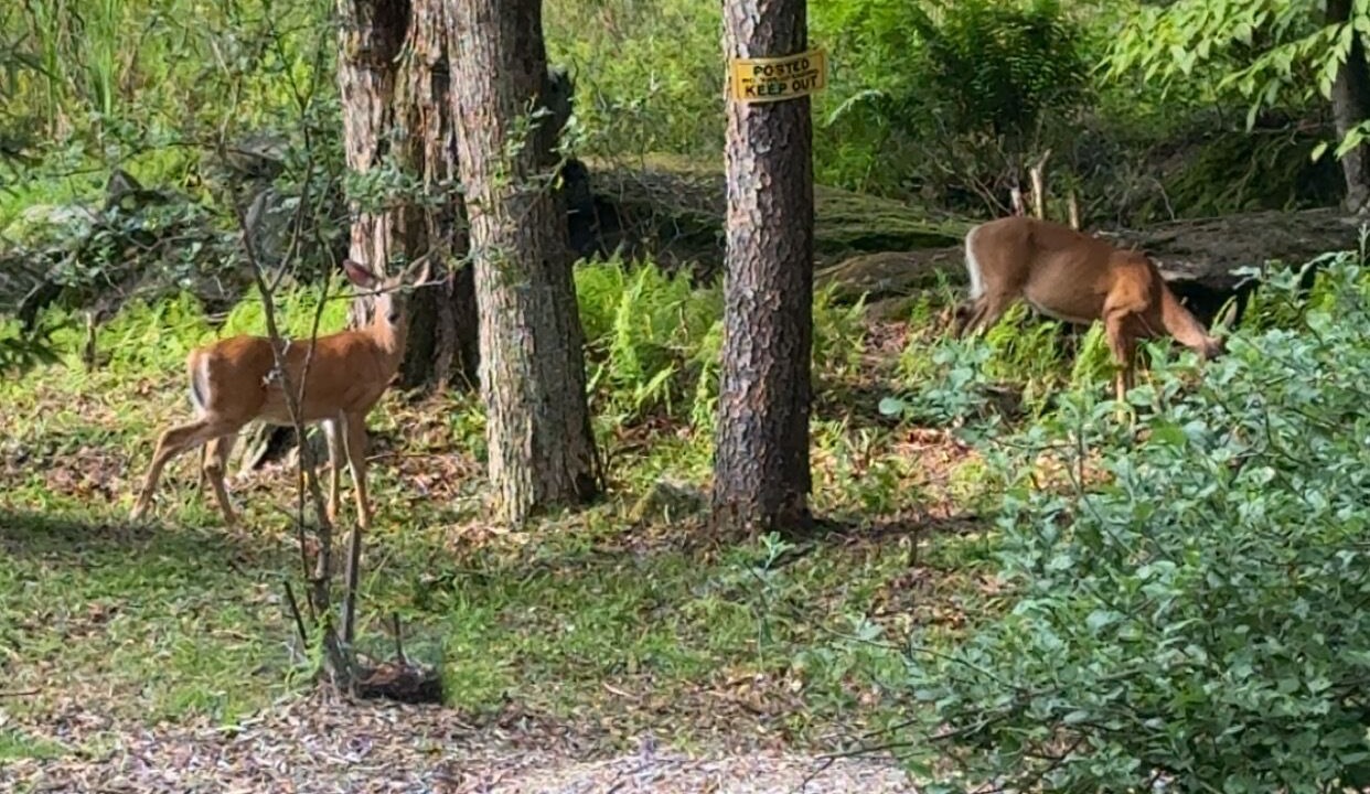 Photo of Others in Aldenville