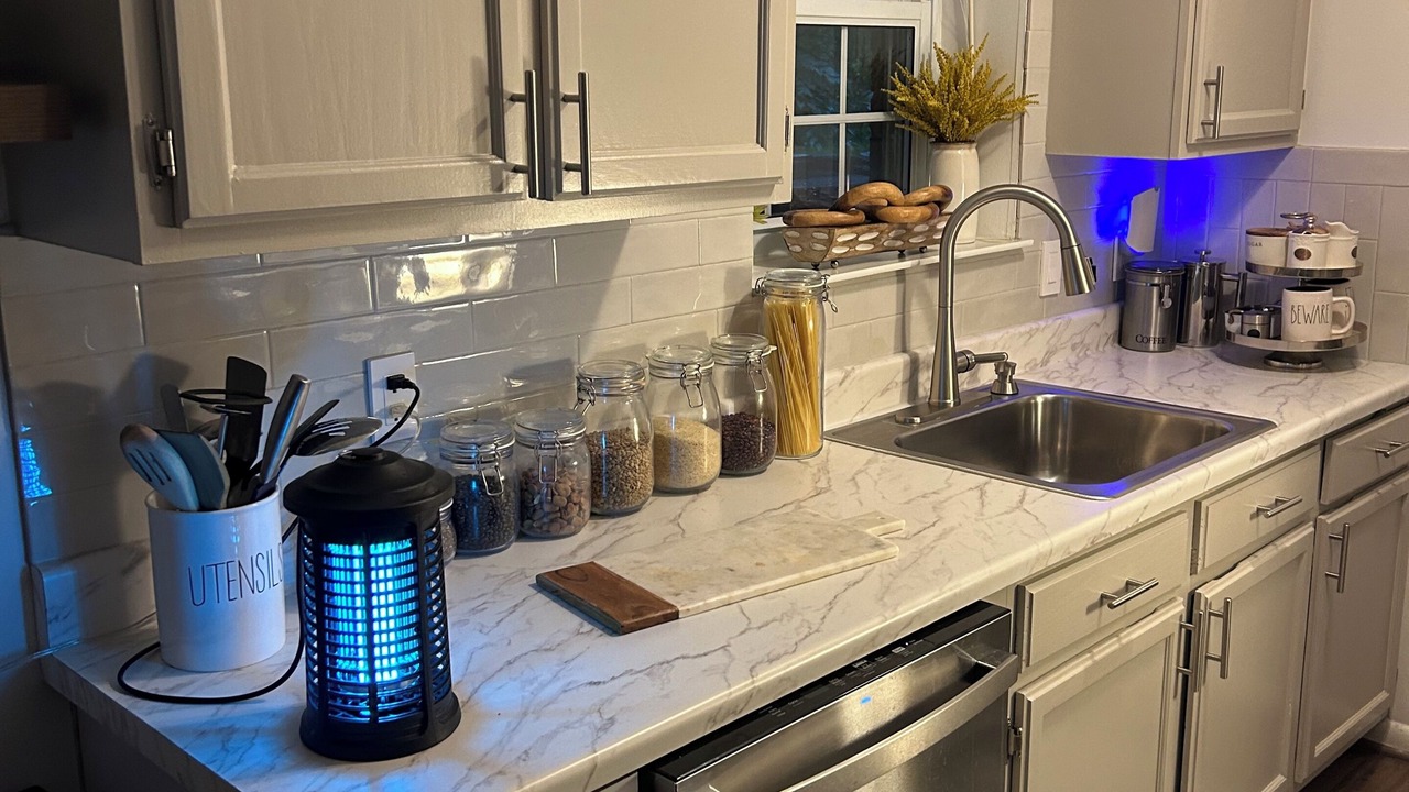 Photo of Kitchen in Shirlington