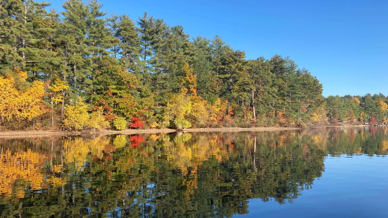 Photo of Outdoor in Shapleigh