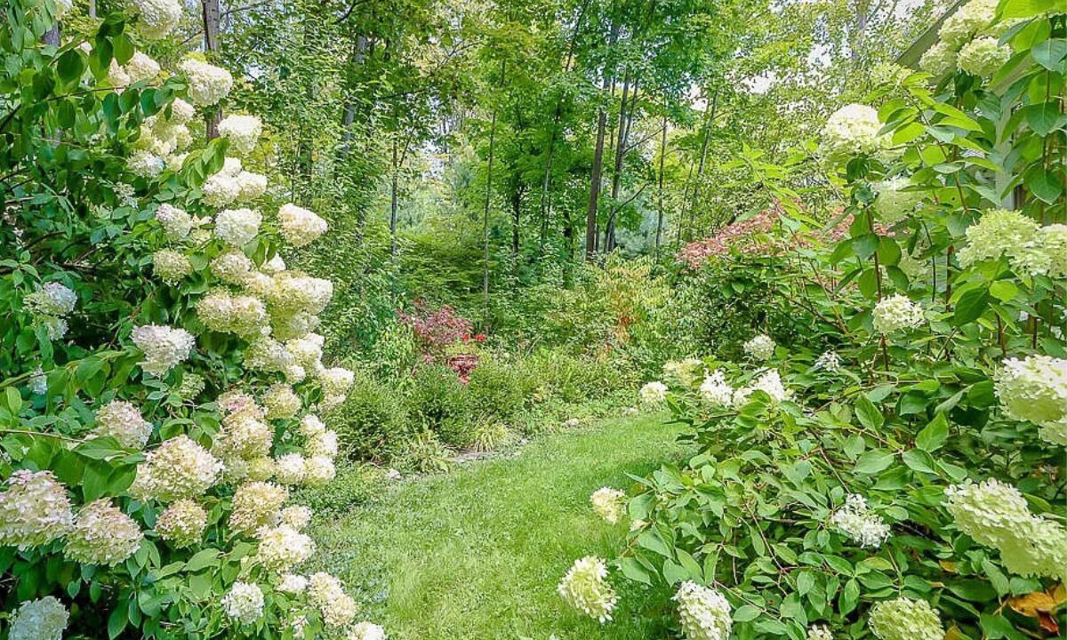 Photo of Outdoor in Canaan