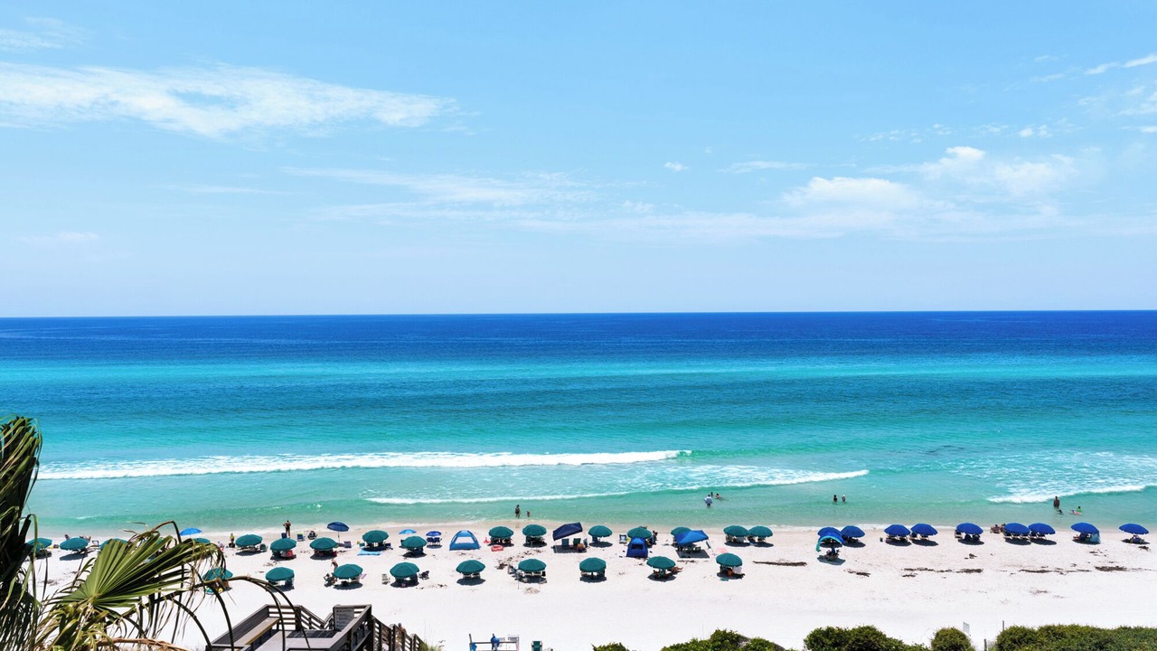 Photo of Others in Seagrove Beach