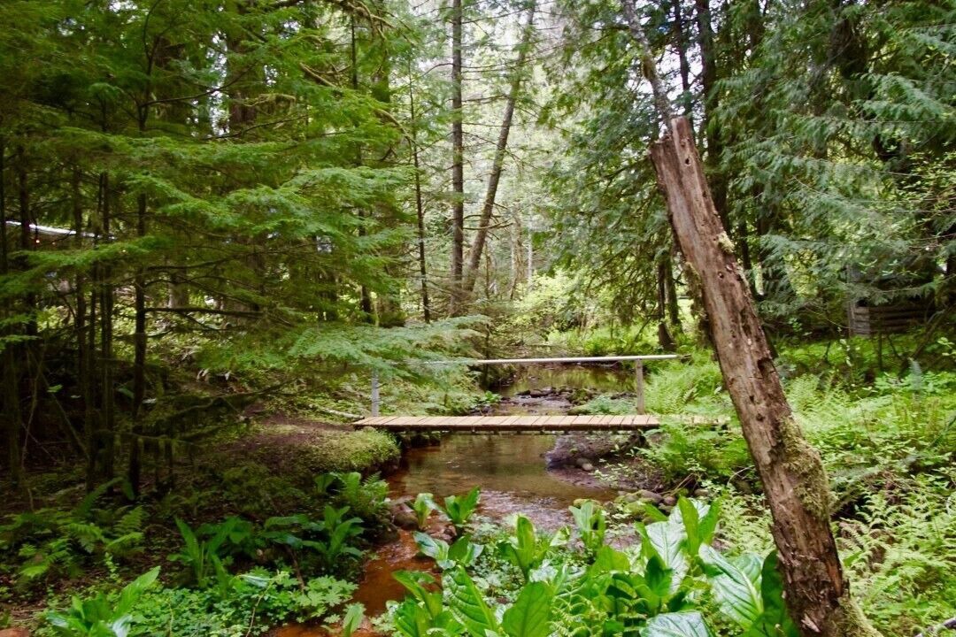 Photo of Outdoor in Ashford