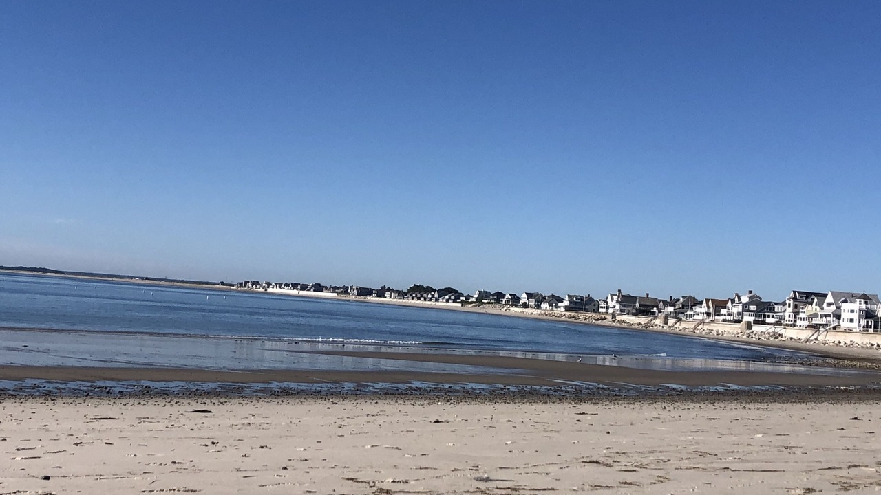 Photo of Others in Green Harbor