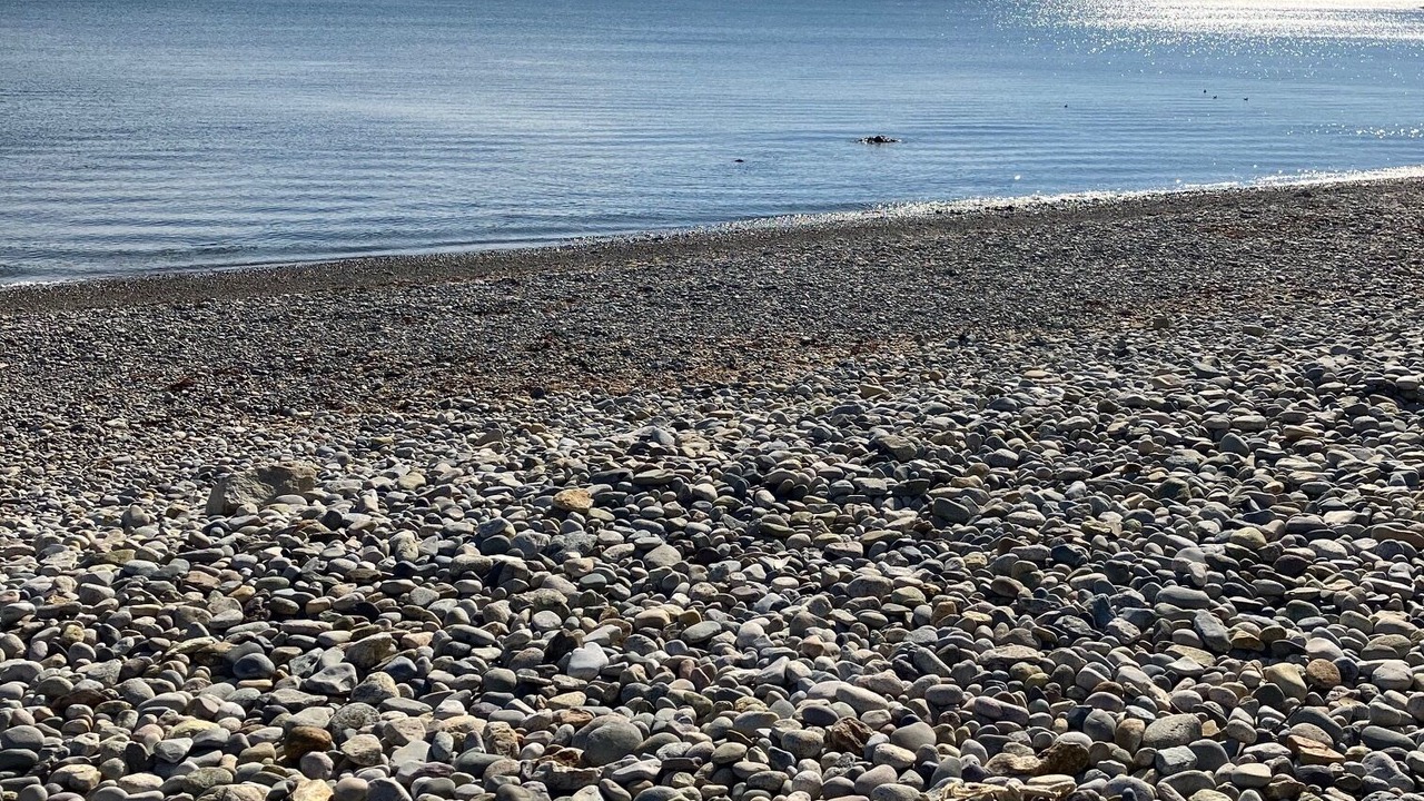 Photo of Others in Green Harbor
