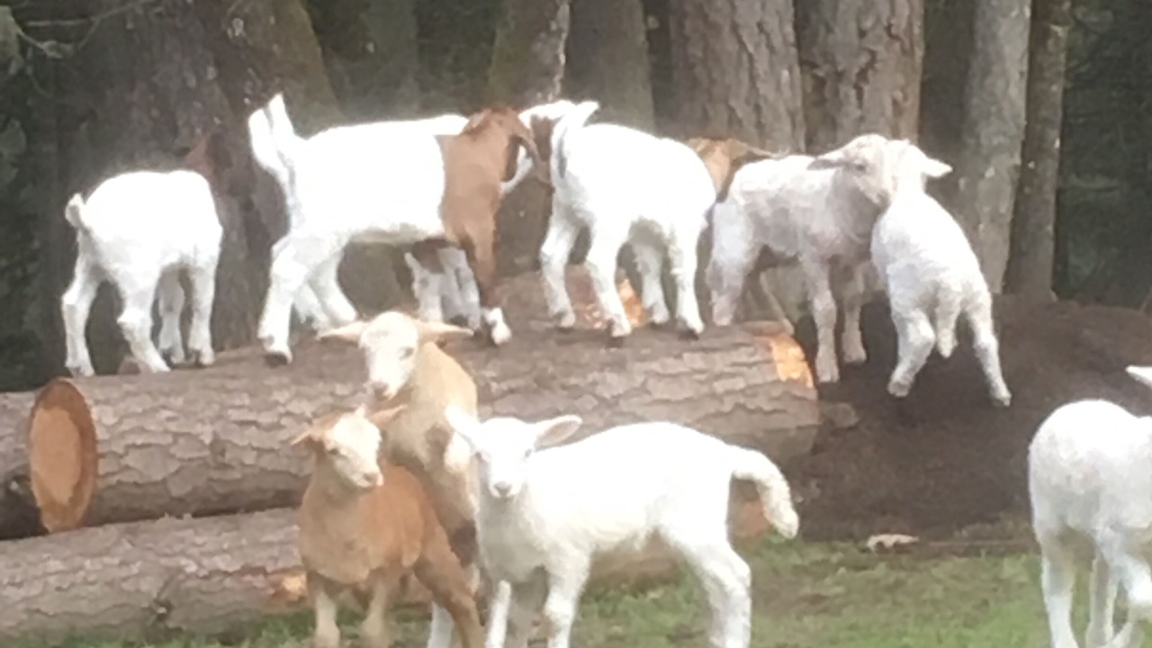 Photo of Outdoor in Eugene