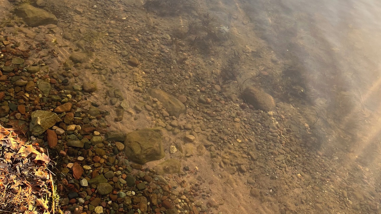 Photo of Others in Bone Lake