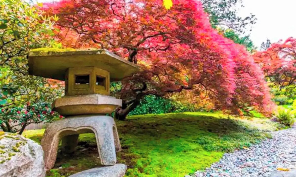 Photo of Outdoor in Seattle
