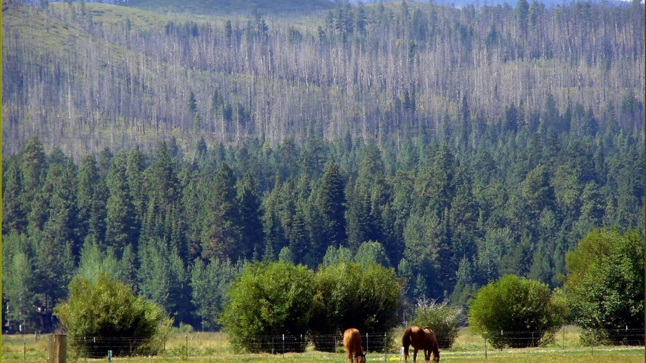Photo of Others in Black Butte Ranch