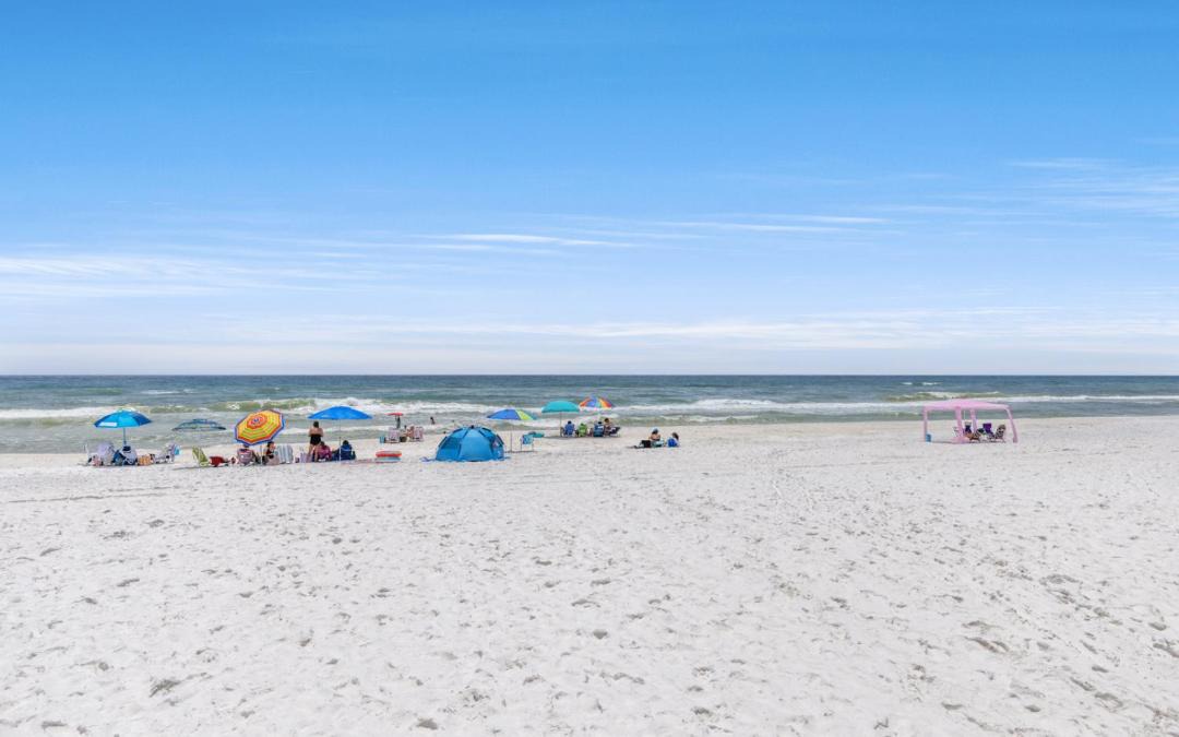 Photo of Others in Seagrove Beach