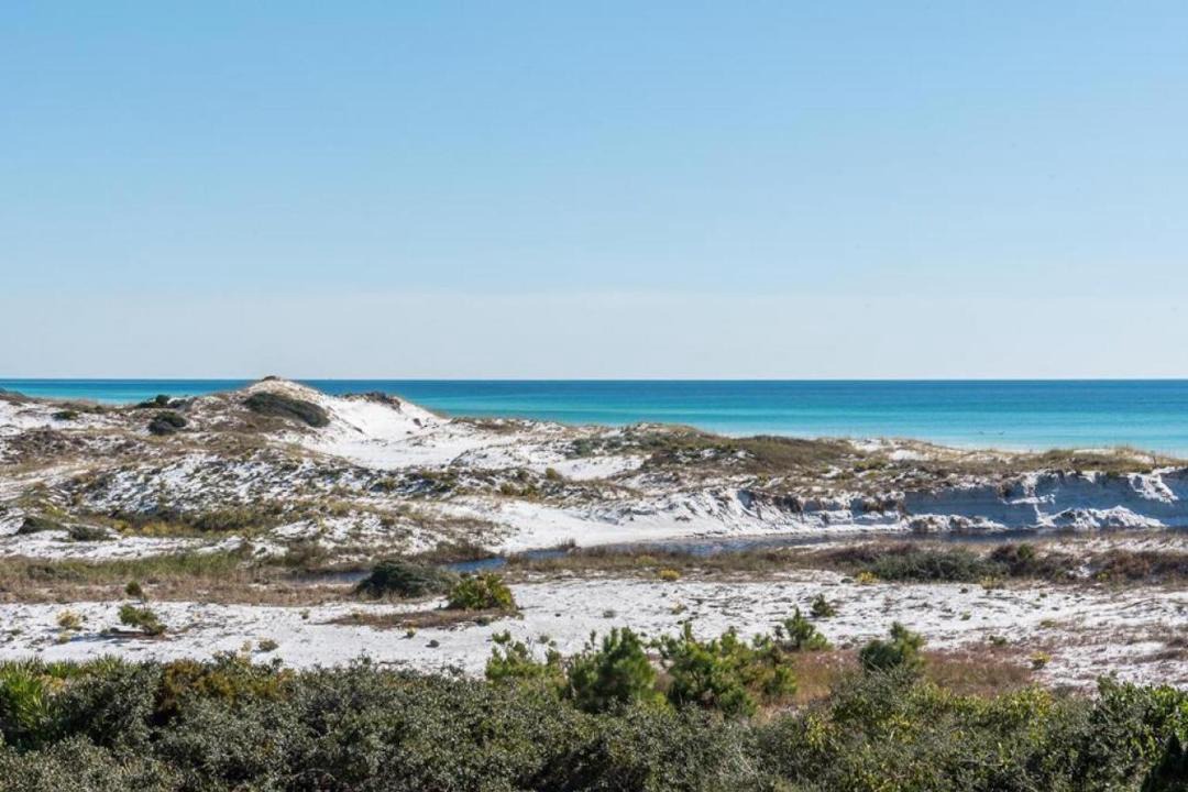 Photo of Others in Gulf Trace
