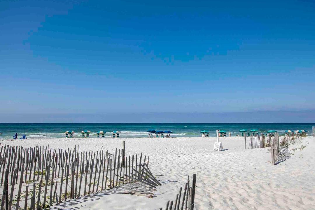 Photo of Outdoor in Seagrove Beach