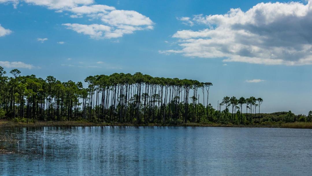 Photo of Outdoor in Gulf Trace