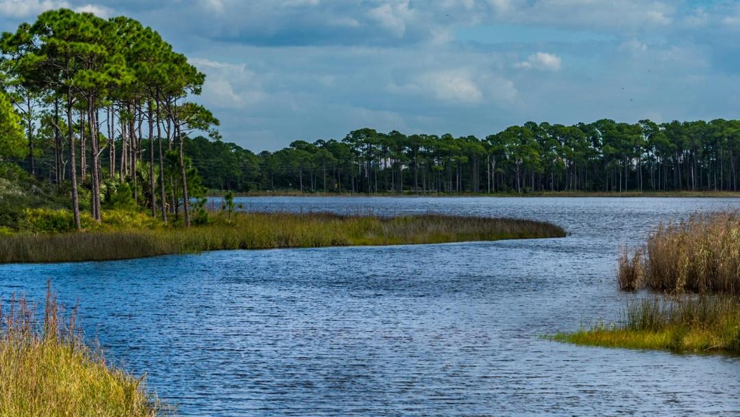Photo of Outdoor in Gulf Trace